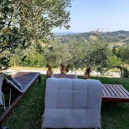 Guest house Ca' Fabbri Roncofreddo
