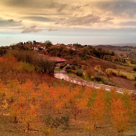 Ca' Fabbri *