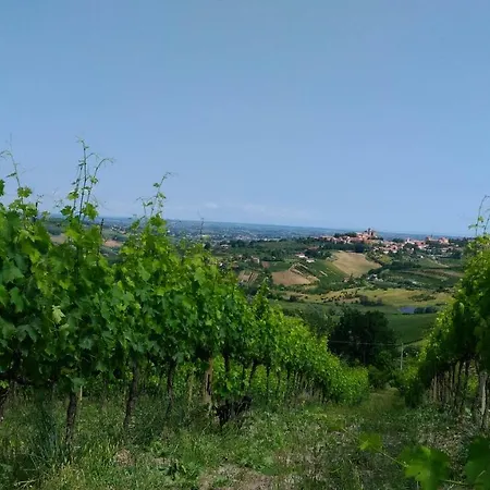Ca' Fabbri Guest house Roncofreddo