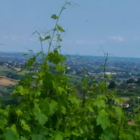 Ca' Fabbri Guest house