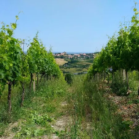 Ca' Fabbri Guest house
